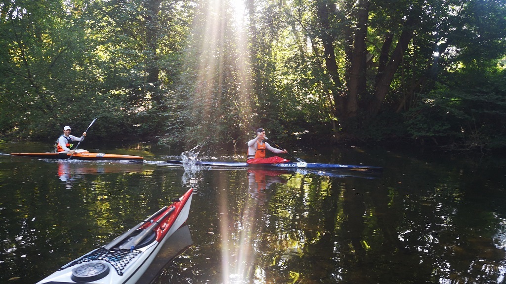 Zwei Kanuten paddeln auf der Schwentine, Sonnenlicht fällt durch die Bäume auf das Wasser