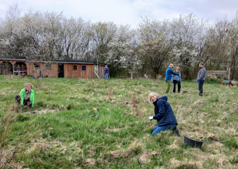 Teilnehmende helfen bei der Biotoppflege (Frühjahrsputz) auf der Bachwiese.